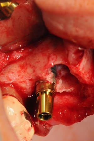 Dsc 2456 i9bvjp - Eugenol