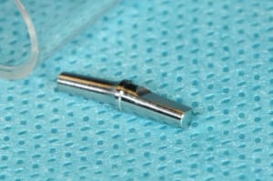 Dsc 2549 xfpl1z - Eugenol