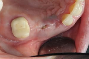 Dsc 3372 v9lxnd - Eugenol