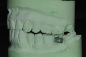 Dsc 4709 a6sdsb - Eugenol