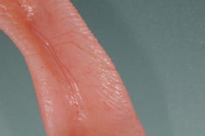 Dsc 6536 btiftr - Eugenol