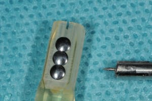 Dsc 7021 robv4z - Eugenol