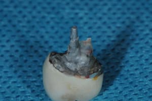 Dsc 7943 ahh2wc - Eugenol