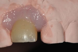 Dsc 8194 zaudvb - Eugenol