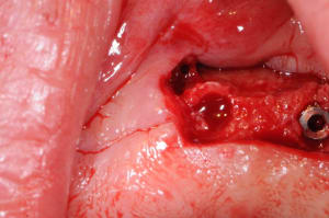 Dsc 9727 hu32jt - Eugenol