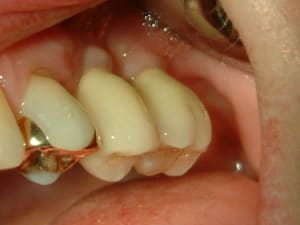 Dscf0040 ulaj68 - Eugenol
