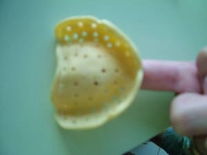 Dscf1020 zfc7rp - Eugenol