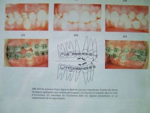 Dscf1319 cfnrao - Eugenol