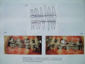 Dscf1320 dnglhk - Eugenol