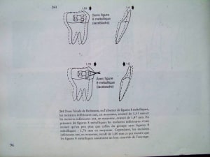 Dscf1325 wtmbpb - Eugenol