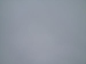 Eclipse hbrz5z - Eugenol