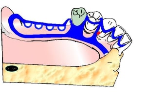 Fini4 skivyx - Eugenol