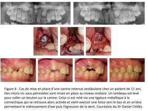 Figure 6 zbhnuv - Eugenol