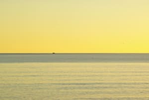 I0709 blyauv - Eugenol