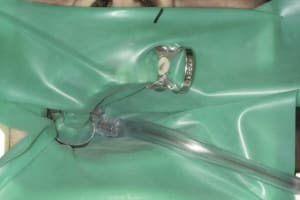 Img 0010 e2chue - Eugenol