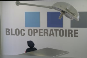 Img 0013 jdvnuw - Eugenol