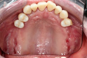 Img 0060 td1gzb - Eugenol