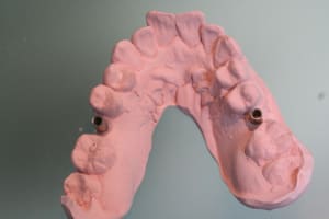 Img 0709 jdh3nl - Eugenol