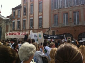 Img 0813 rjknp8 - Eugenol