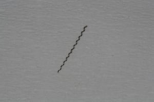 Img 0862 yhoumt - Eugenol