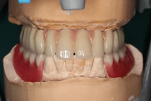 Img 1204 onokad - Eugenol