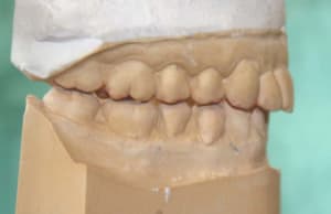 Img 1929 ltaguq - Eugenol