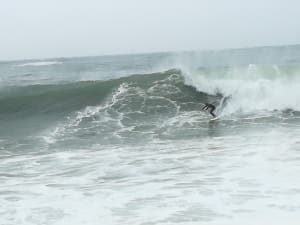 Img 20171211 141515 tqixgd - Eugenol