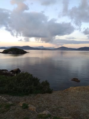 Img 20181226 165710 liqpfo - Eugenol