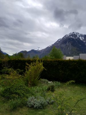 Img 20190510 172505 tu5av5 - Eugenol