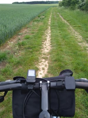 Img 20200506 172532 eqe4en - Eugenol