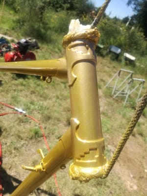 Img 20200620 155214 rypzaa - Eugenol