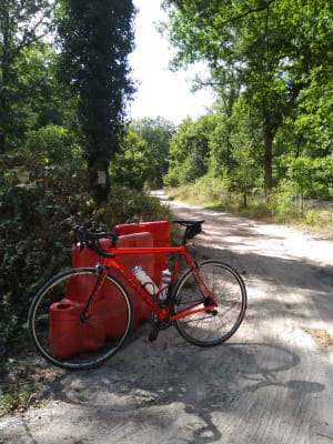 Img 20200826 153132 ny6ttp - Eugenol