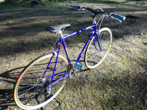 Img 20210113 133848 v2sqa5 - Eugenol