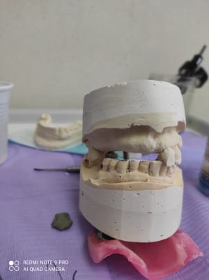 Img 20210208 142940 qj0dvx - Eugenol