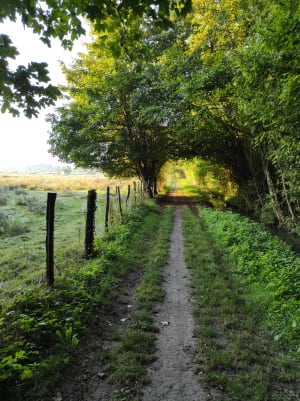 Img 20210917 084008 oyh2zg - Eugenol