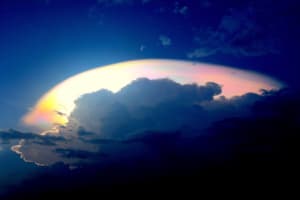 Img 2085 lnfgek - Eugenol