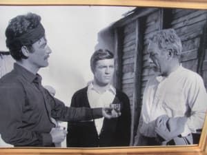 Img 2210 v42yvq - Eugenol