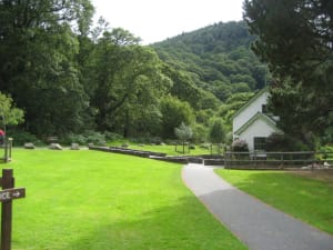 Img 2957 jrtger - Eugenol