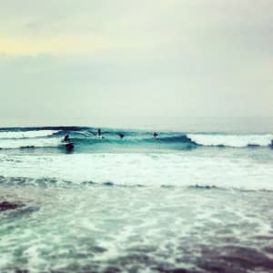 Img 7075 ojiptu - Eugenol