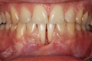 Img 8511 llqbsh - Eugenol