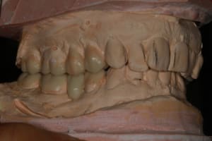 Img 8777 o1qd6z - Eugenol