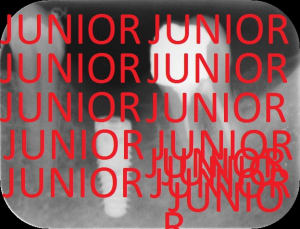 Imp jpaevo - Eugenol