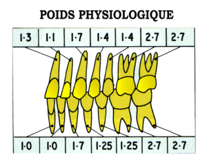 Image1 yqgxko - Eugenol