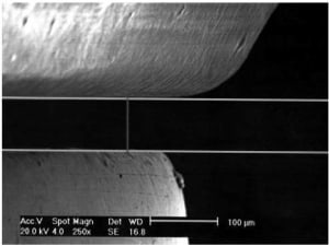 Image3 wwwucq - Eugenol