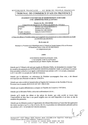 Jugement rj tc aix 31 07 14 qhgtx8 - Eugenol