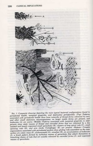 Keyes4 vbfp8x - Eugenol