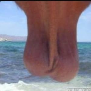 Lctxsr   wvmvmu - Eugenol