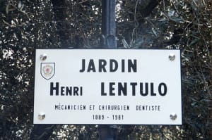 Lentulo tvrpkt - Eugenol
