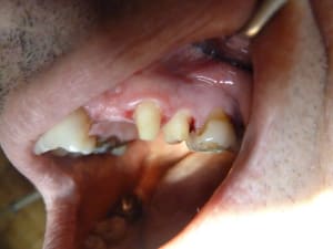 P1010574 wvfz7v - Eugenol