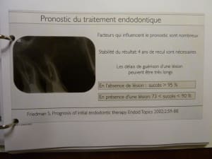 P1030846 t7tvvz - Eugenol